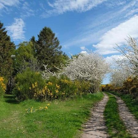 Lower Bruntlands Fochabers Dış mekan fotoğraf