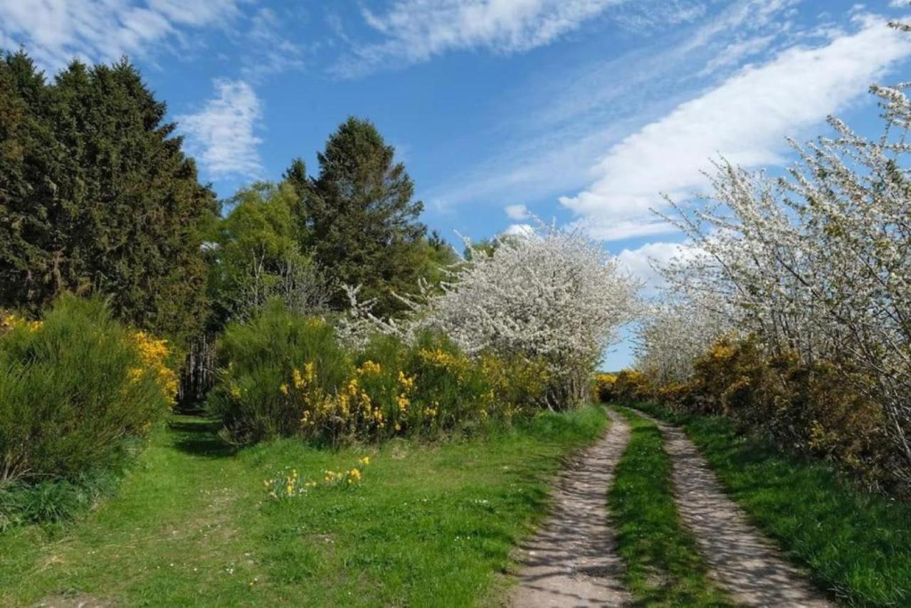 Lower Bruntlands Fochabers Dış mekan fotoğraf
