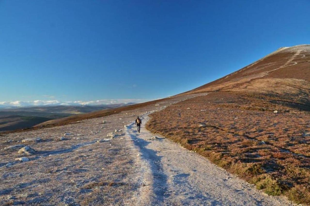 Lower Bruntlands Fochabers Dış mekan fotoğraf