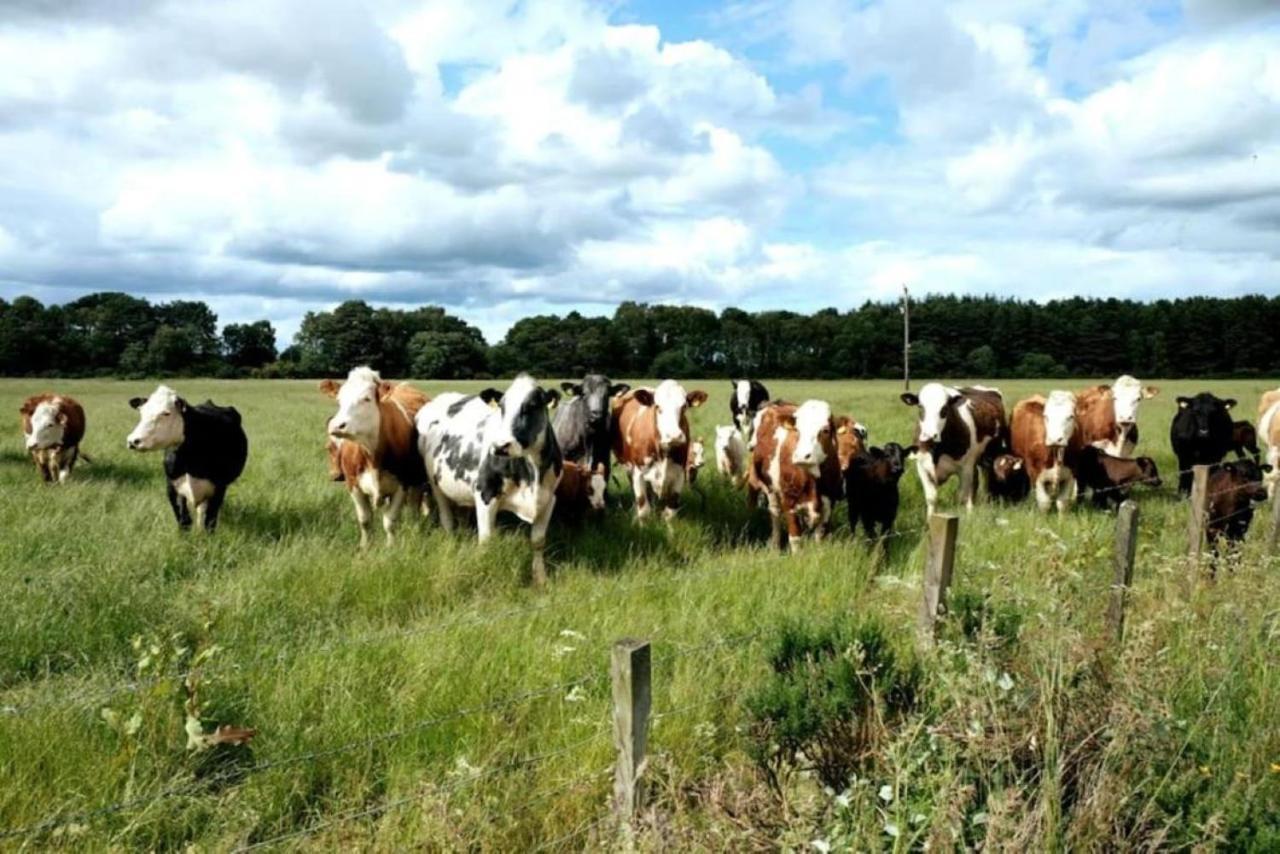 Lower Bruntlands Fochabers Dış mekan fotoğraf